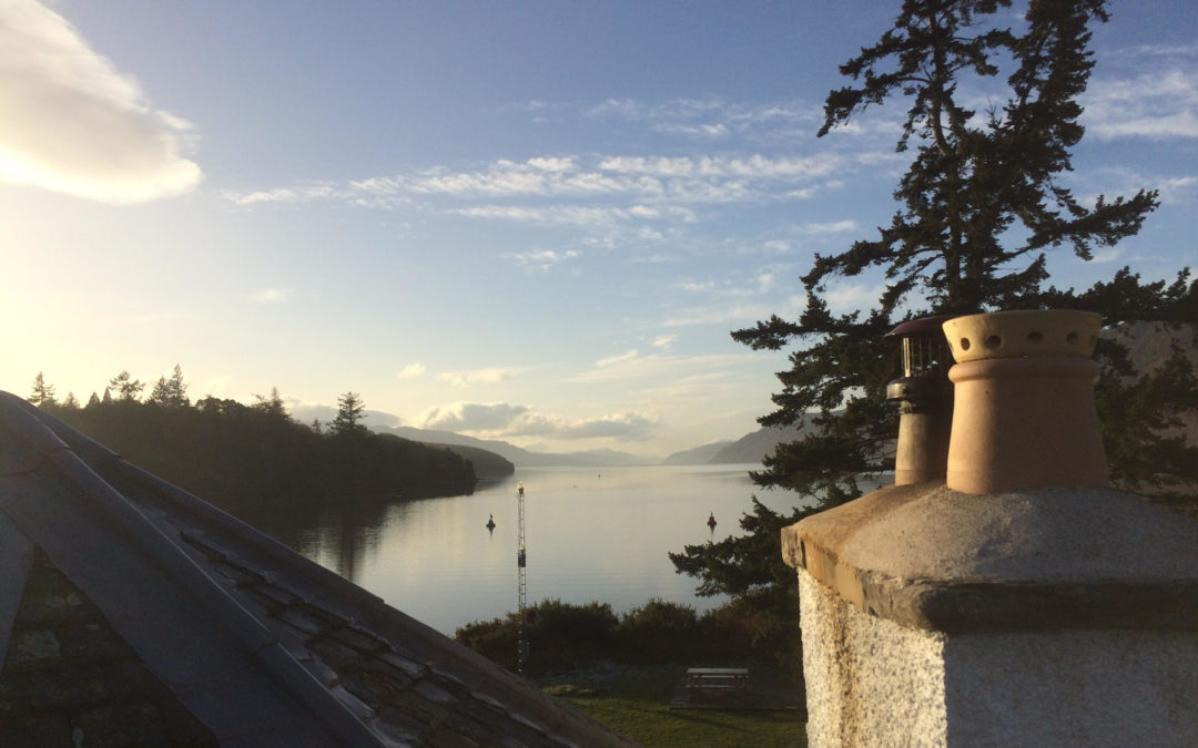 Roof with a view